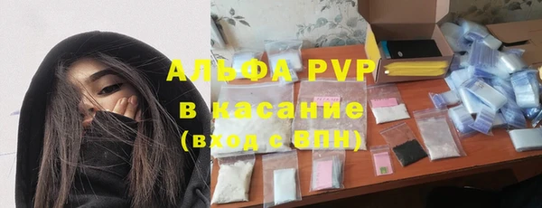 PSILOCYBIN Балабаново