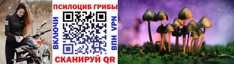 Псилоцибиновые грибы Magic Shrooms  даркнет сайт  Белёв 